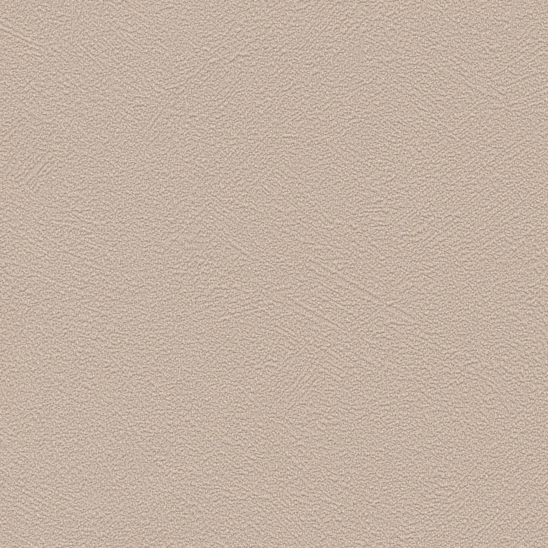 F15105-4 그날의 약속