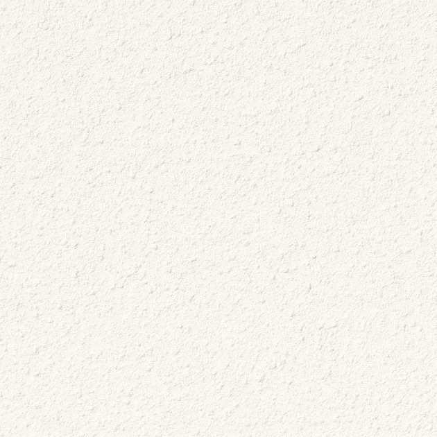 FE76561 규조토